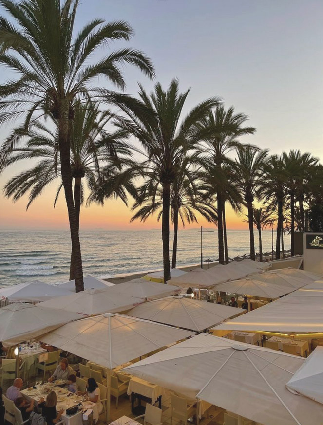 Palm trees and sea view in Marbella