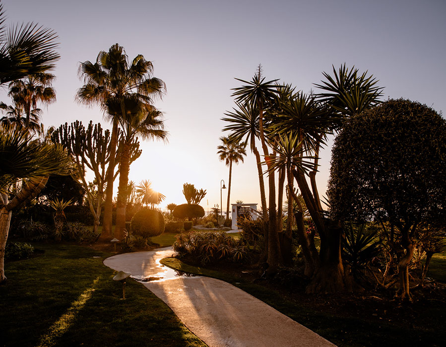 The Flag Marbella garden at sunset